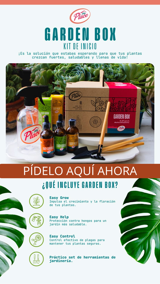 Garden Box Kit de Inicio de Me Place